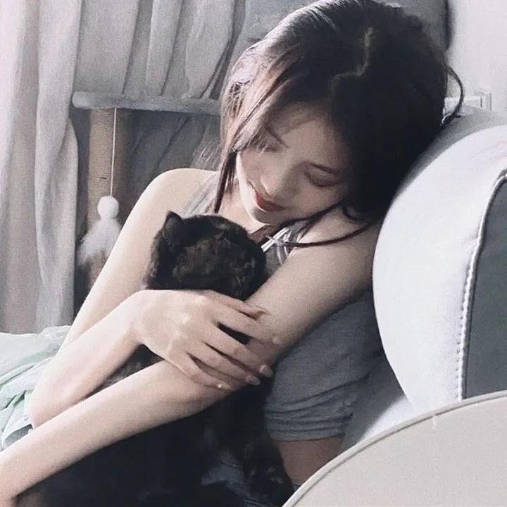 巅峰拍档第十六季